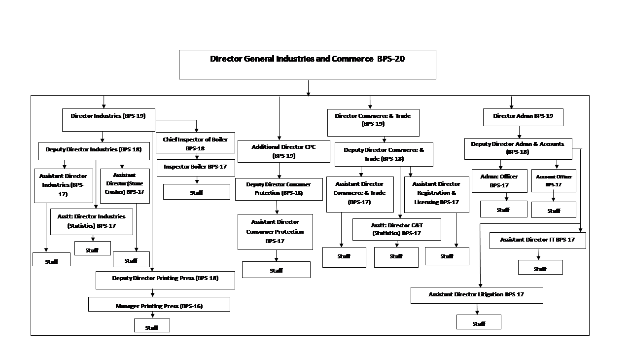 Organogram